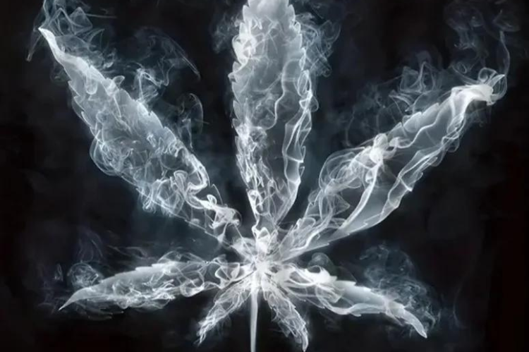 Psychiatric Rehabilitation Centres